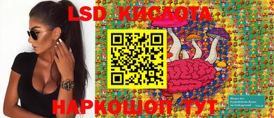 мдпв Владимир