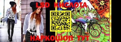 мдпв Владимир