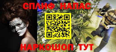 мдпв Владимир